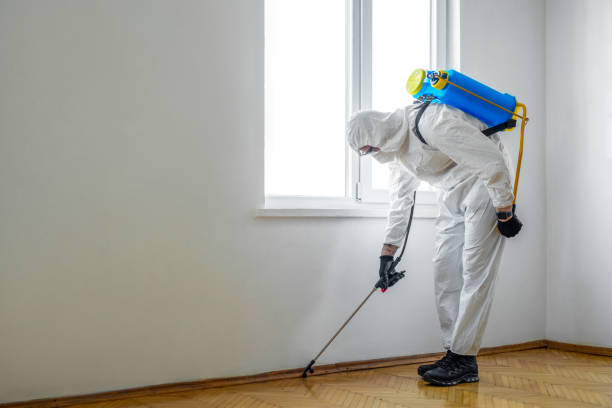 Best Affordable Pest Control Services  in Cole Camp, MO