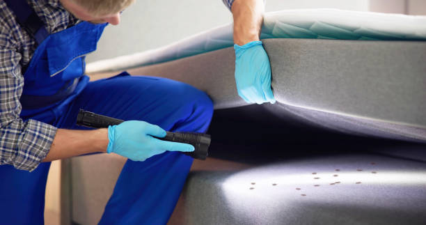 Best Affordable Pest Control Services  in Cole Camp, MO