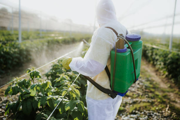 Best Local Pest Control Services  in Cole Camp, MO